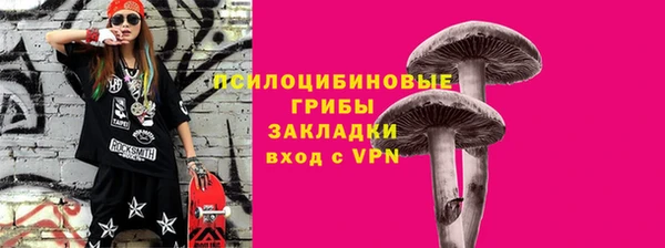 крисы Болохово