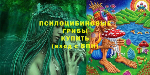 прущие крисы Билибино