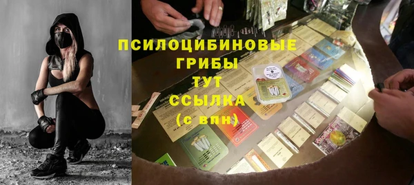 прущие крисы Билибино